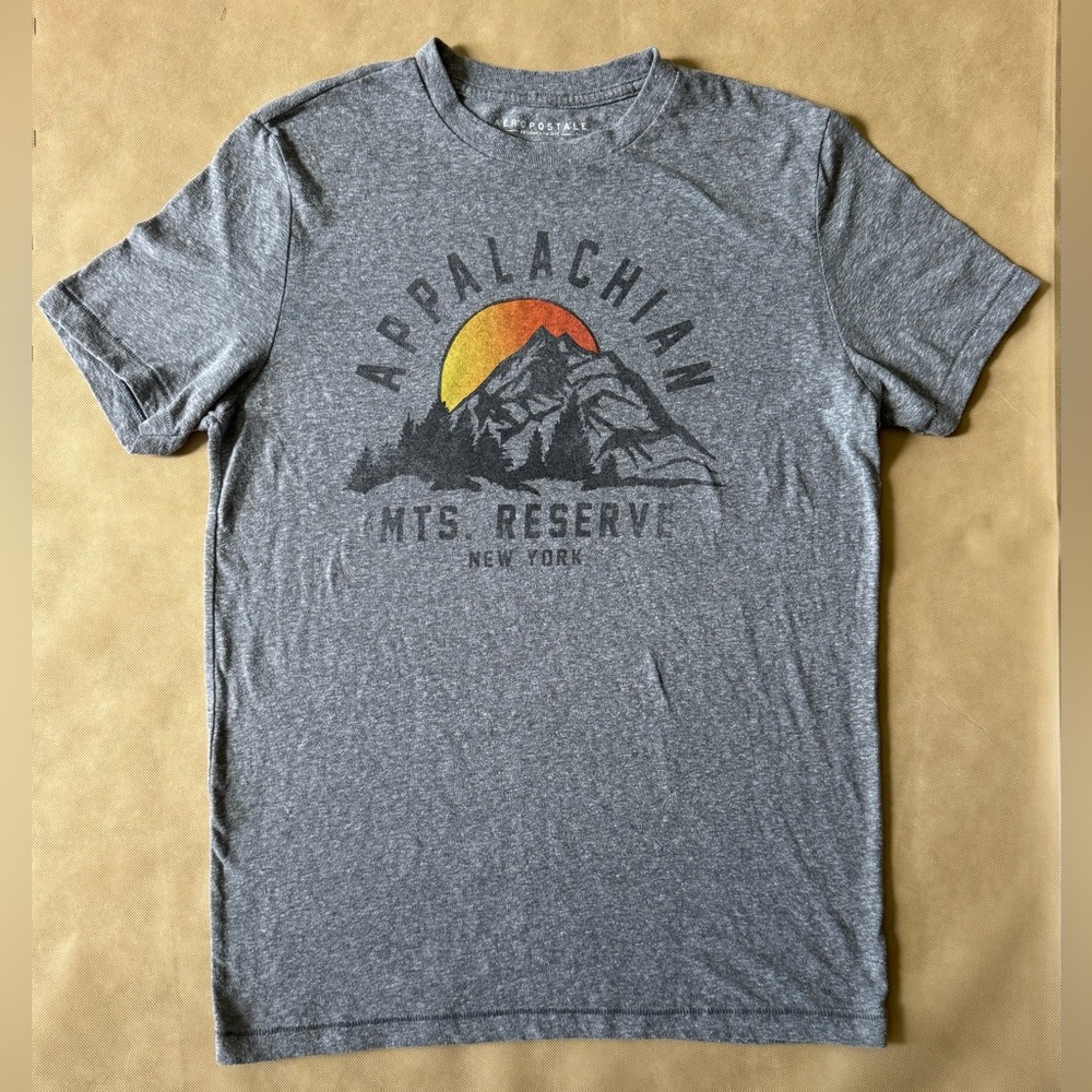 Aeropostale Appalachian MTS Reserve New York T-Shirt Gray T Shirt Medium AERO